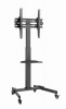 TVS-55T-01