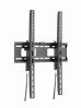 WM-75T-03